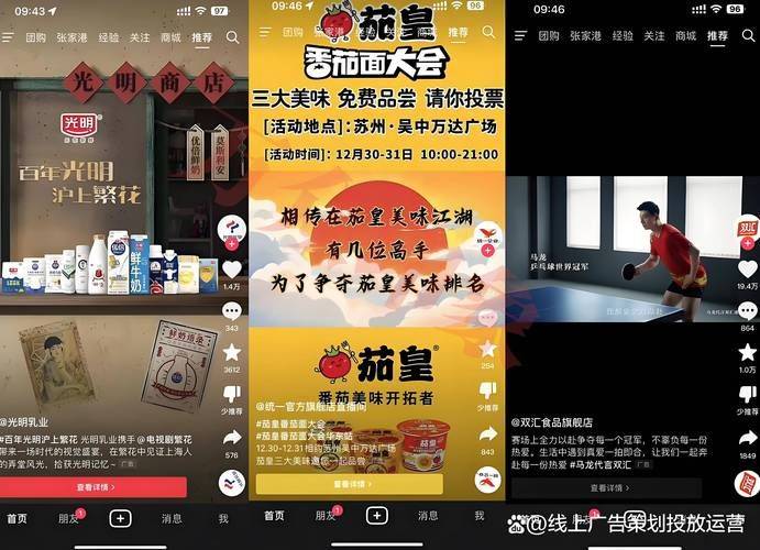 Seo network marketing