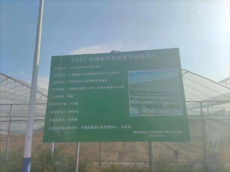 Greenhouse shed planting techniques