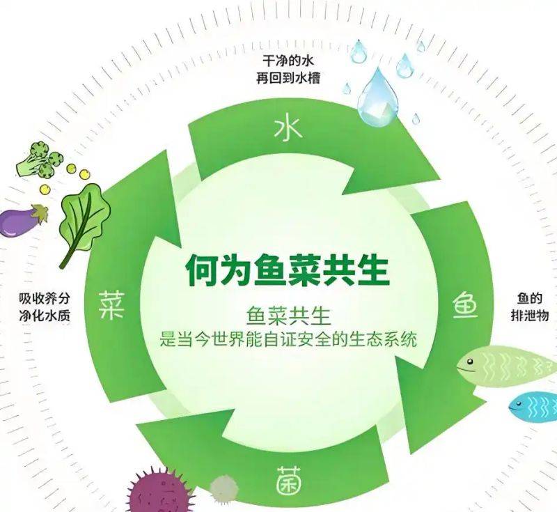 Landless vegetable cultivation techniques