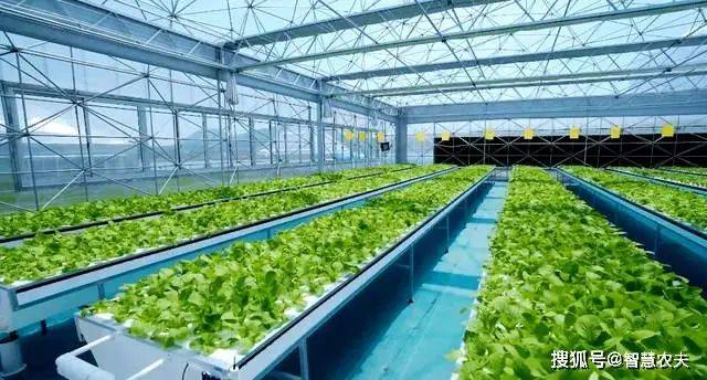 Landless vegetable cultivation techniques