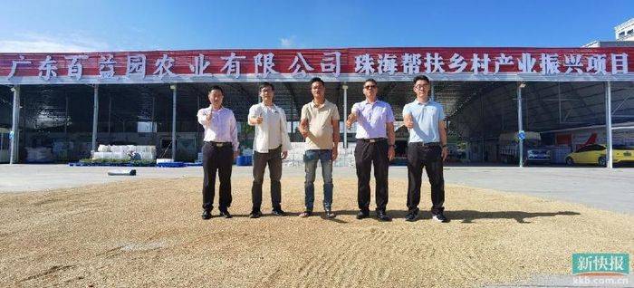 Cultivation of the fruit