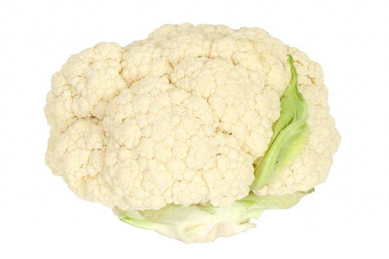 Plantation techniques