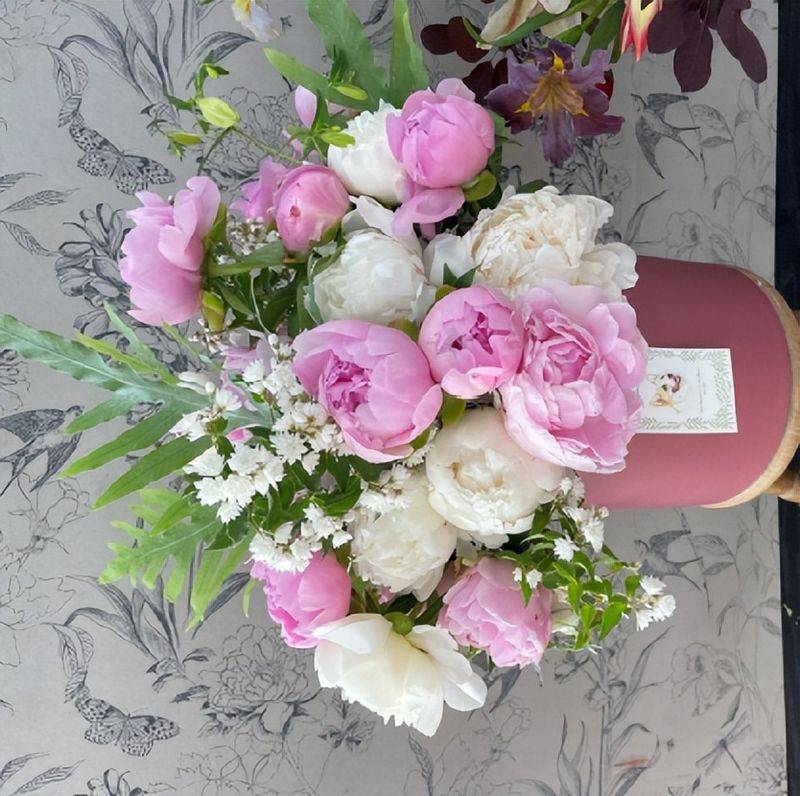 Methods and timing of pharmacological cultivation