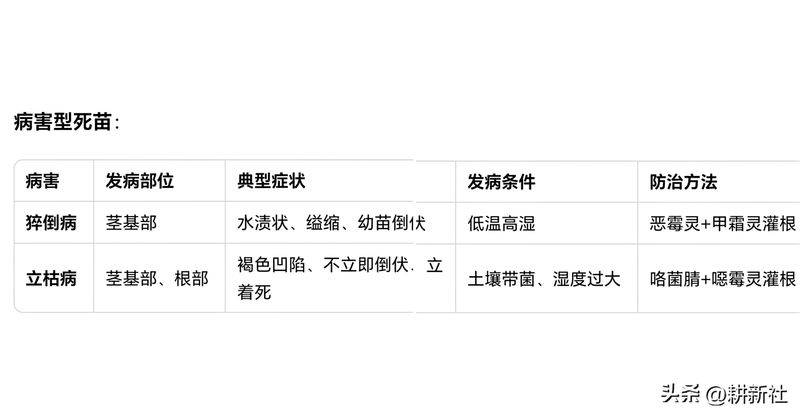 Video of the techniques used to plant watermelon in the country