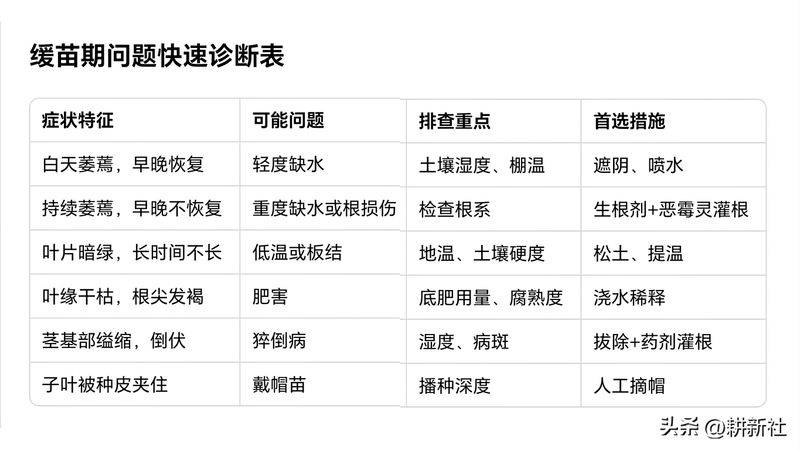 Video of the techniques used to plant watermelon in the country