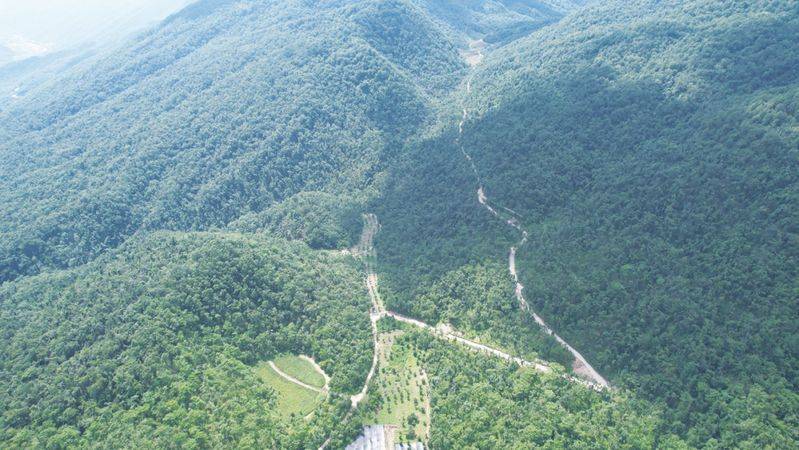 The method of growing tianima