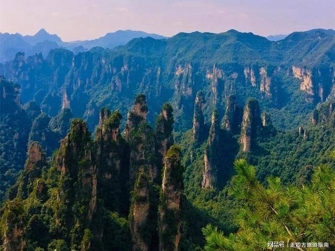 Zhang's sandstone peak forest