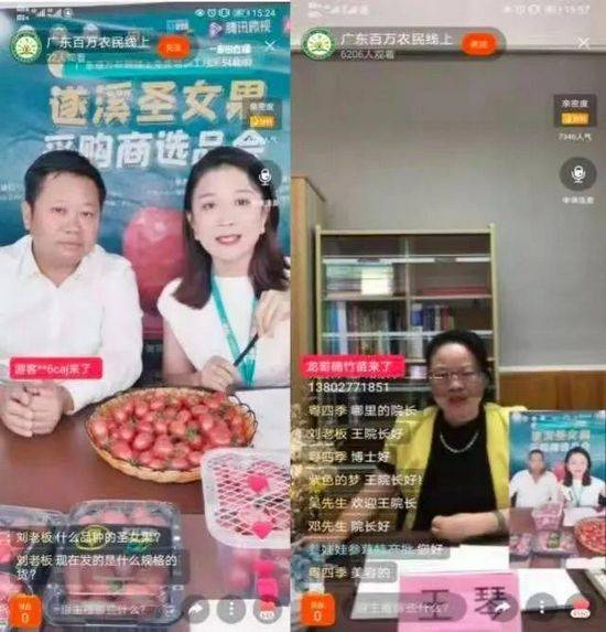 Cultivation of the fruit