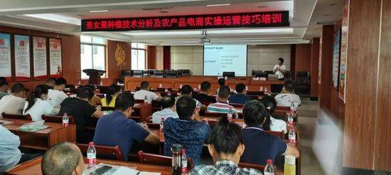 Cultivation of the fruit