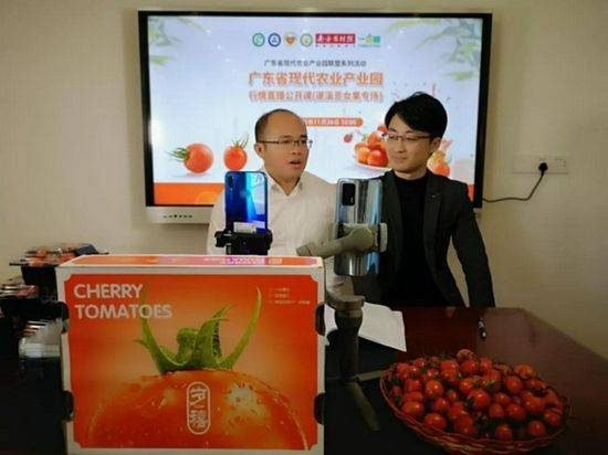 Cultivation of the fruit