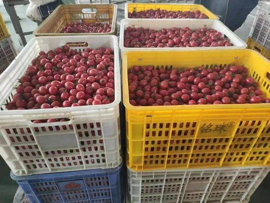 Cultivation of the fruit