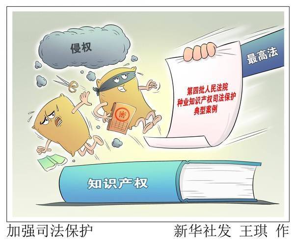 Intellectual property strategy layout