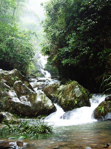 How much does it cost to get to whitewater