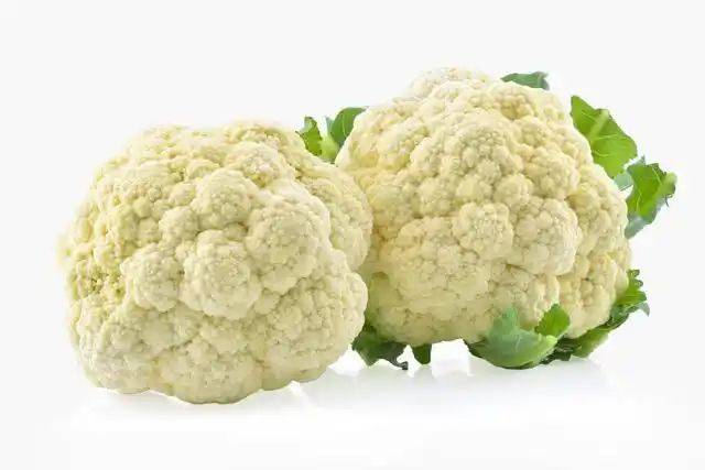 Methods and timing of gardening