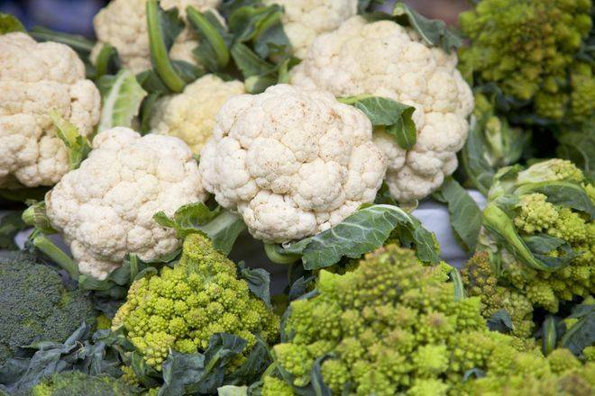 Methods and timing of gardening