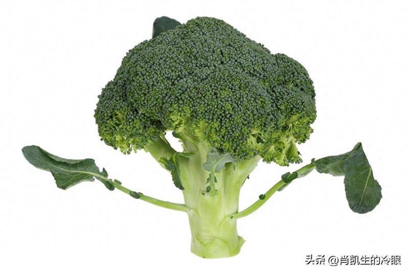 菜花种植技术