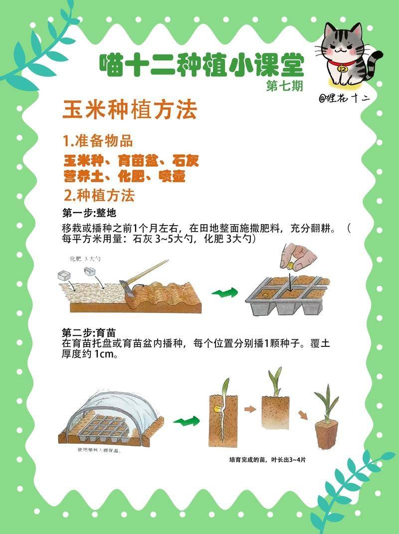 Plantation techniques