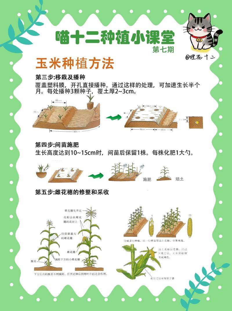 Plantation techniques