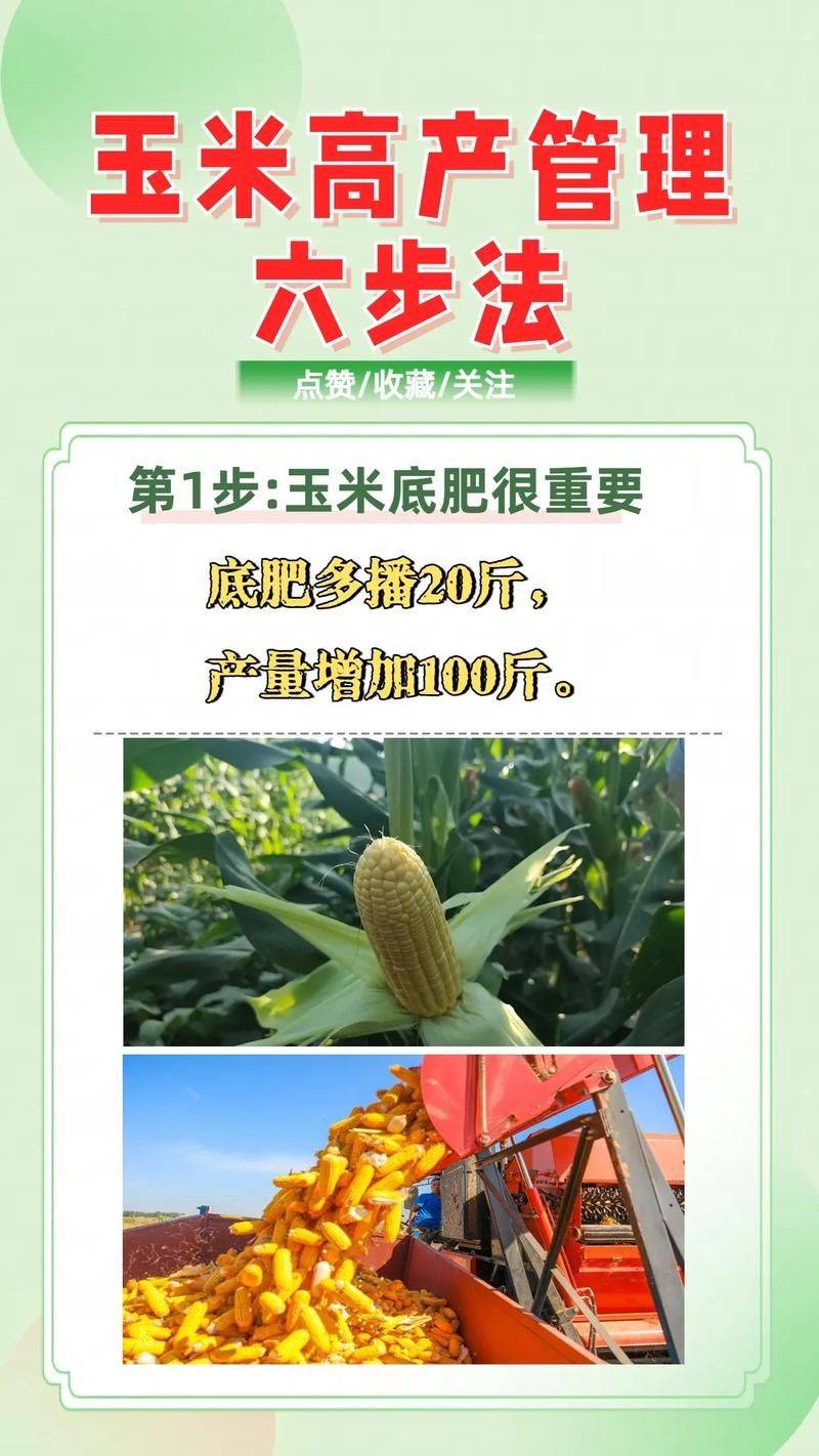 Plantation techniques