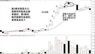 Principles of professional speculation (chinese version)