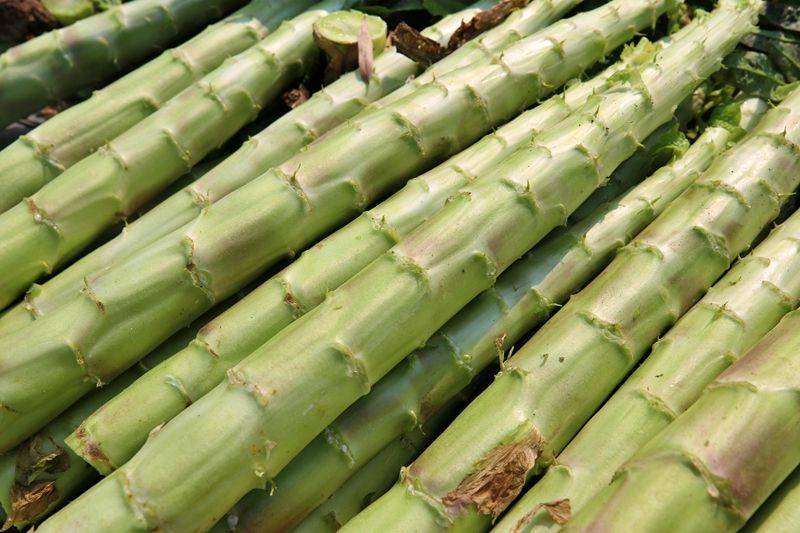 A video of the technology of the big shed