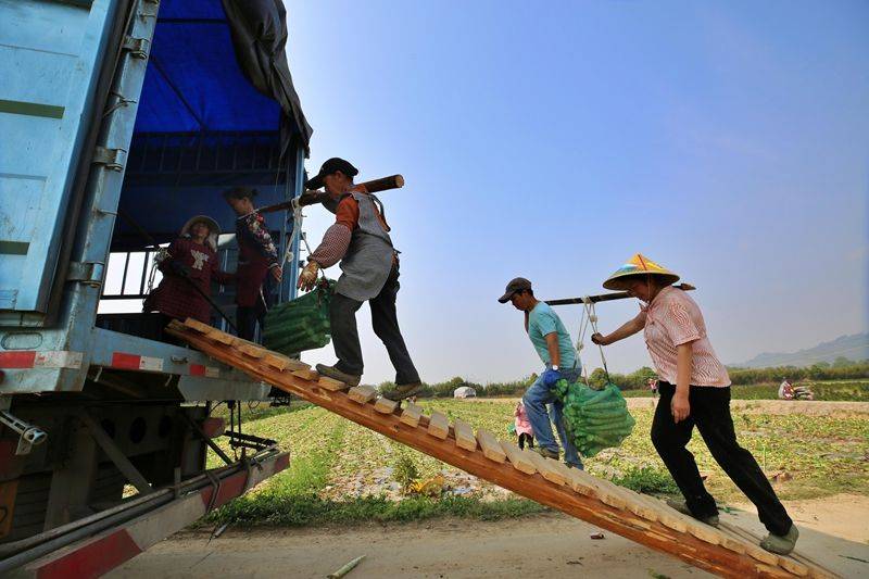 A video of the technology of the big shed