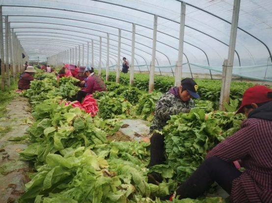 A video of the technology of the big shed