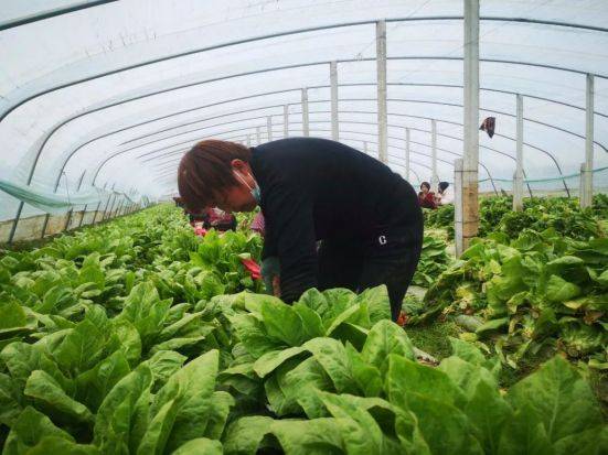 A video of the technology of the big shed