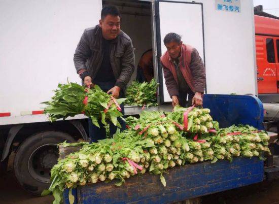 A video of the technology of the big shed