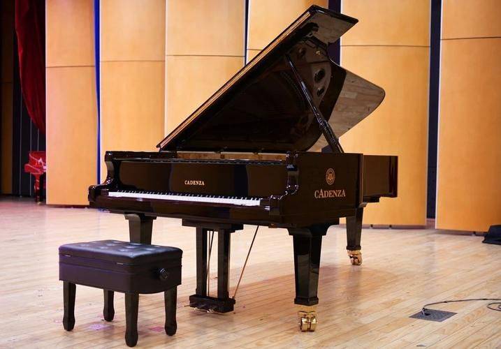 Cadenza piano price