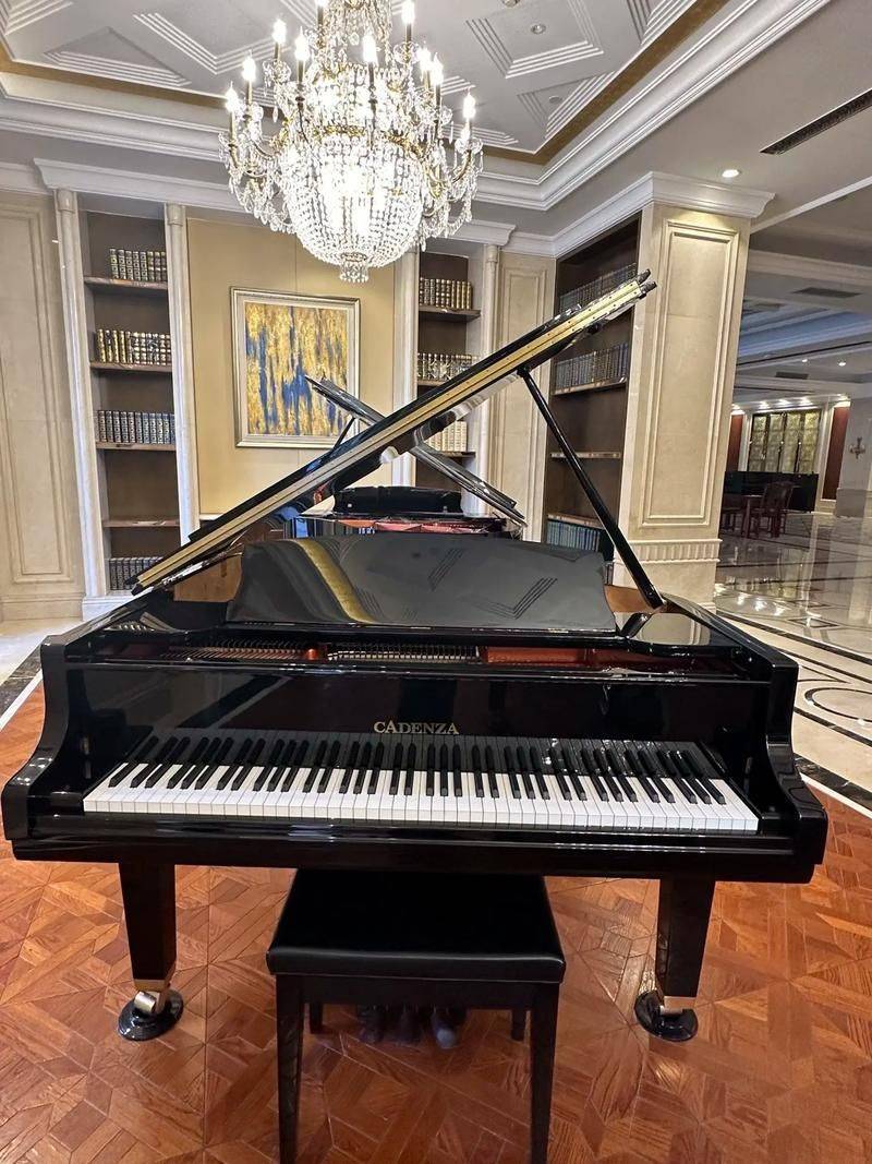 Cadenza piano price