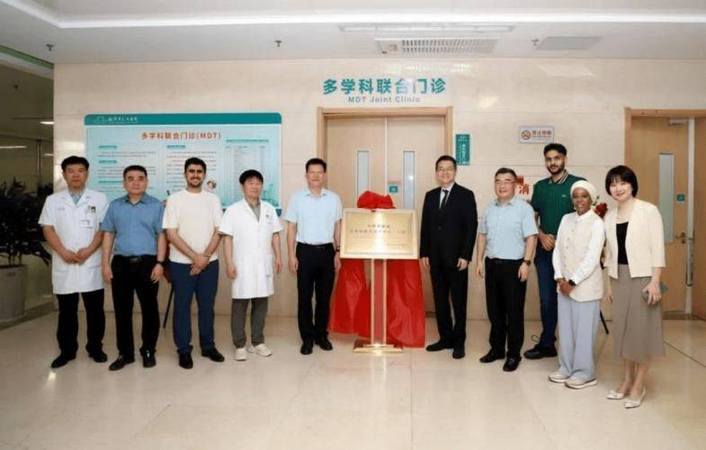 Chinese medical medical experience on oncology download