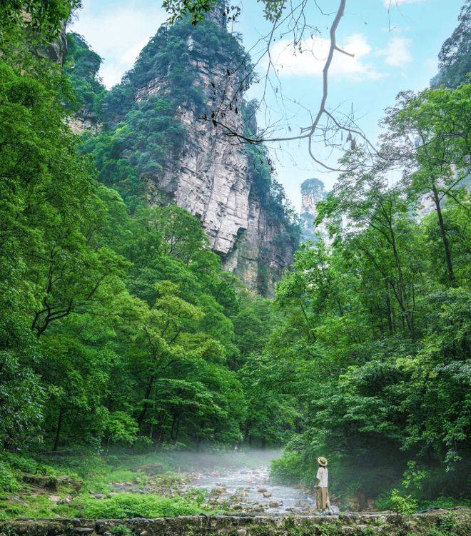 Zhang's sandstone peak forest