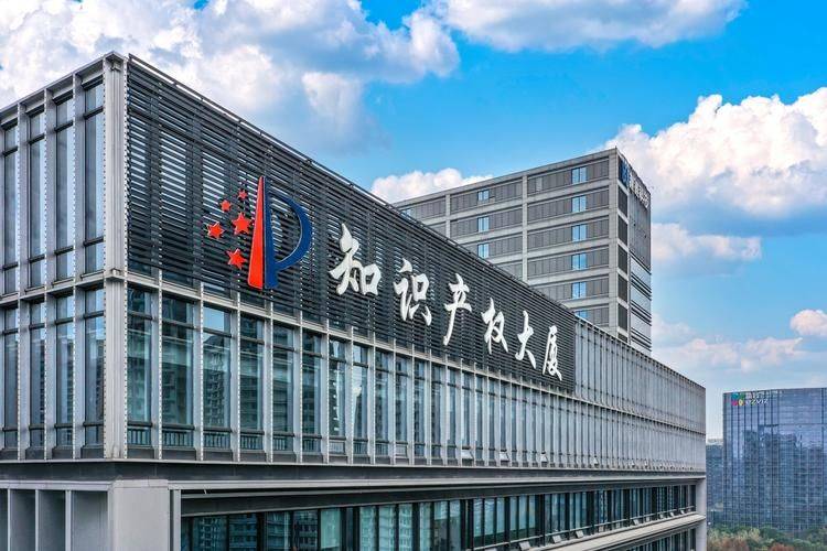 Intellectual property strategy layout