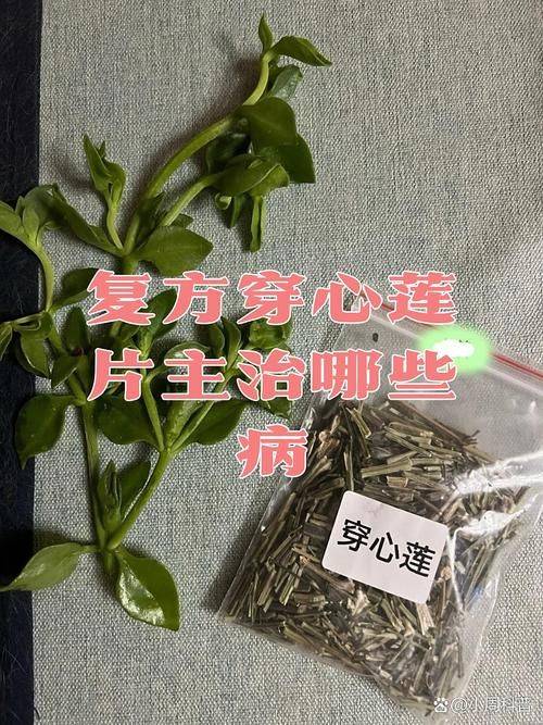 The way you grow your heart