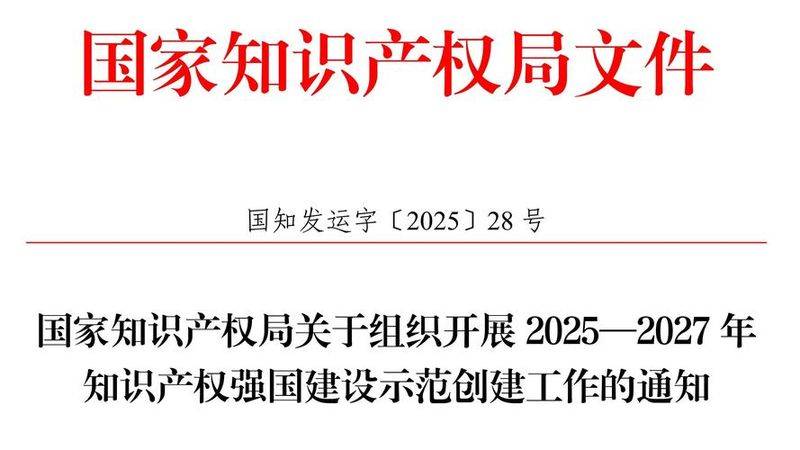 Intellectual property strategy layout