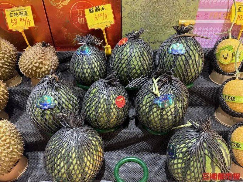 Video of the techniques used to plant watermelon in the country