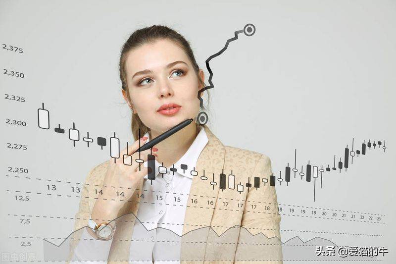 Principles of professional speculation (chinese version)