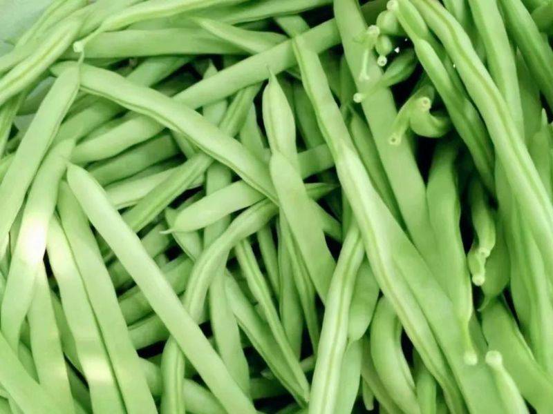 The method of planting four seasons of beans