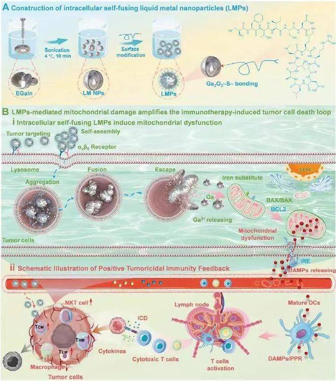 Chinese medical medical experience on oncology download