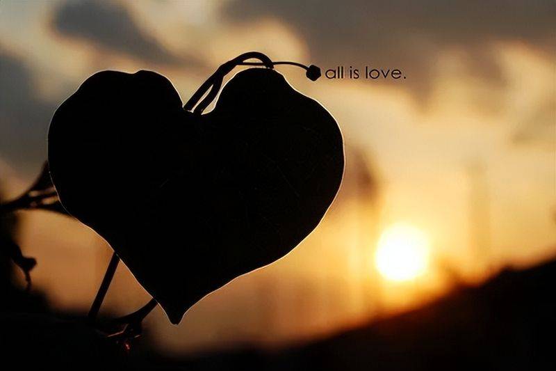 The characteristics of capricorn women