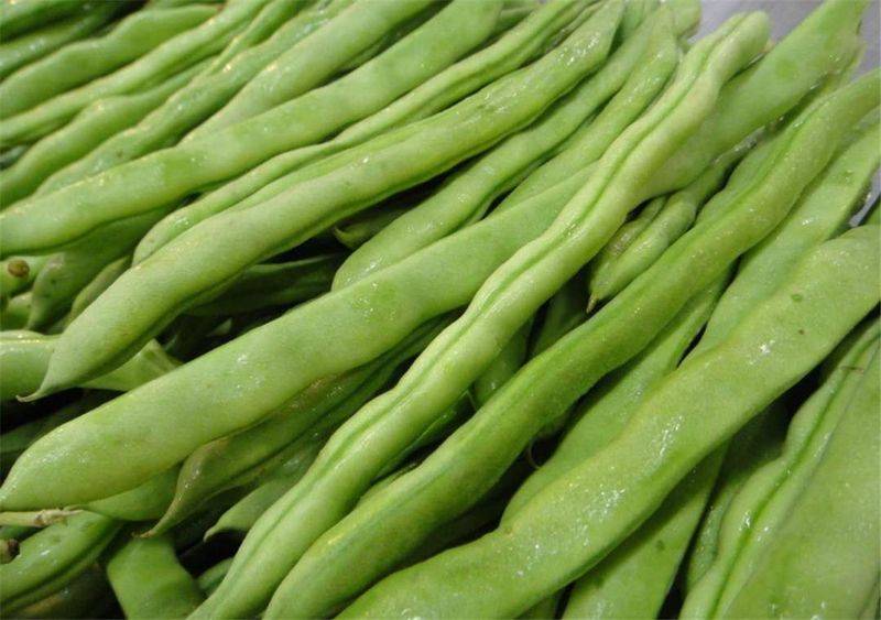 The method of planting four seasons of beans