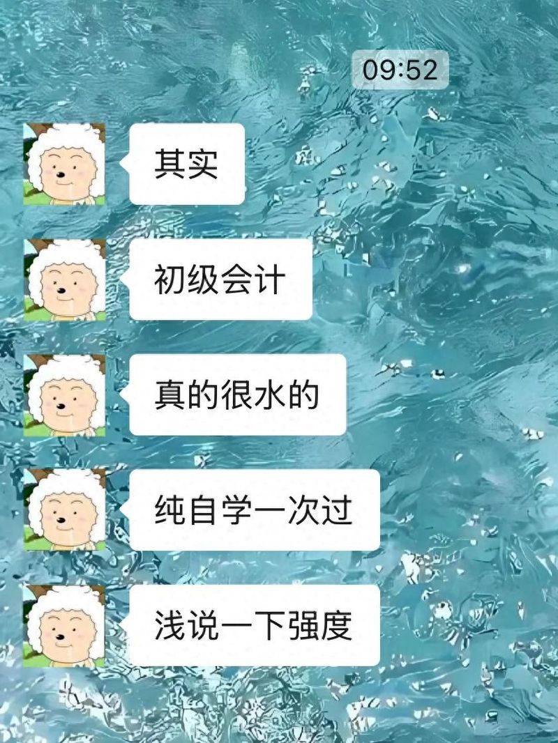 Accounting examination experience