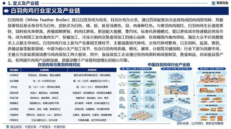 白羽乌鸡养殖成本与利润