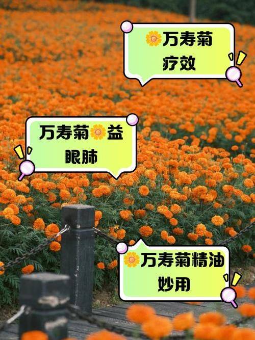 Family cultivation methods