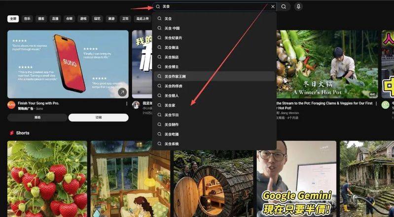 What is the meaning and purpose of optimizing companies doing seo?