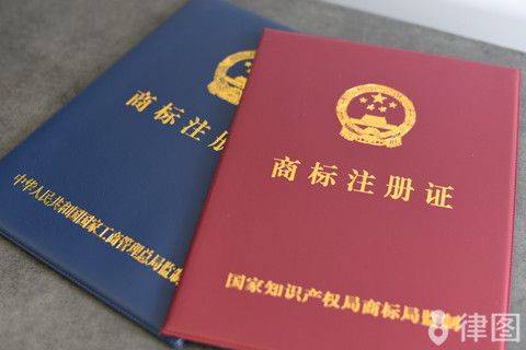 Legal protection of intellectual property rights online