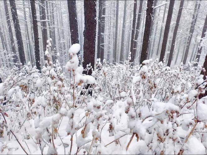 水泵的维修保养