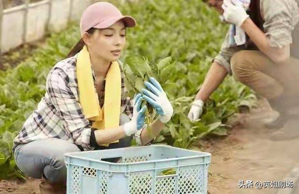 Northeast spring garlic growing technology