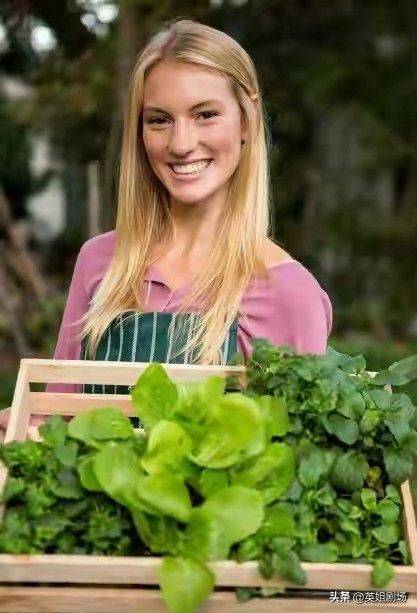 Northeast spring garlic growing technology